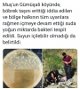 muş ta böbrek taşına faydalı diye içilen su / #2071399