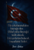 türk bayrağı