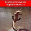11 nisan 2016 beşiktaş bursaspor maçı / #1027451