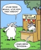 çiçek neden bir hediyedir / #1226623