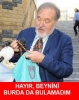 göçebe bir toplumun laiklikle övünmesi / #1041625