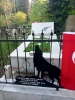 anın görüntüsü / #2305487