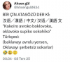 çin atasözleri