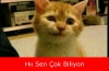 bu vatan için ölenler şehit değildir / #1045249