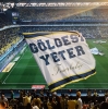 fenerbahçe denilince akla gelenler / #1756850