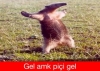 silkip kendine getirmek istediğiniz yazarlar / #1311230