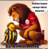 2024 2025 trendyol süper lig şampiyonu galatasaray