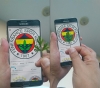 fenerbahçe logosundaki maydanoz