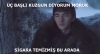 brandon stark