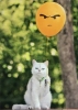 kedi abartılmış balon bir hayvandır