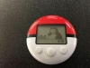 pokewalker