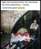 gençliğin kıymeti ihtiyarlıkta bilinir / #1707082