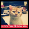 30 yaşını geçip hala sözlükte kız peşinde koşmak / #2062160