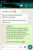 yazarların en son gönderdiği mesajlar / #1627216