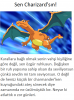 hangi pokemonsun anketi / #1196780