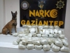 narko gaziantep / #2279114