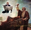 hristiyanlarda papa var bizde niye kutsal imam yok / #1743382