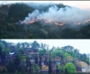 yanan ormanlık alanlara otel yapılacak algısı