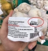yerli üretim sarımsak / #1976414