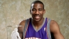 amare stoudemire