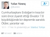 tufan türenç resim 4