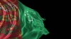 turkmen begi türkmenistana gitsin kampanyası / #1261740