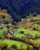 yayla / #2424084