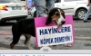 birisine köpek diyerek hakaret etmek / #1154948