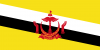 brunei bayrağı