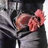 cock / #1048983