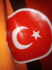 türkiye / #2425396