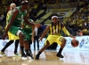 fenerbahçe erkek basketbol takımı