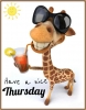 have a nice thursday / #2321466