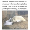 hayvanat bahçeleri kapatılsın / #1798505