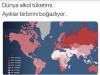 alkol kullanan adamla evlenir misiniz / #1893219