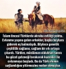 islamiyetin türk töresine aykırı olması / #2289768