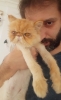 sözlüğe kedi fotoğrafı atan erkek yazar