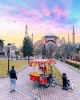 sultanahmet / #2191743