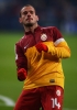 wesley sneijder