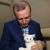 en güzel recep tayyip erdoğan resimleri