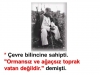 ormansız ve ağaçsız toprak vatan değildir / #2289393