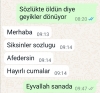 sadece ulu yazarlarının anlayabildiği erecto olayı / #2365068