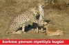 günün anlam ve önemini anlatan caps / #1087112