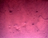 nasa nın mars tan çektiği görüntü