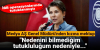 türkiye / #2426594