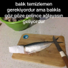 titanik filmindeki batan gemi nin yeni nicki
