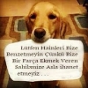 ırkçı köpeklerin sözlükten şutlanmasını istiyorum / #1007216