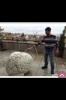çocuklara din anlatmak çocuk istismarıdır / #1003370