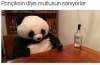 gecenin pandası