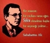 solcuların genel özellikleri / #2060778